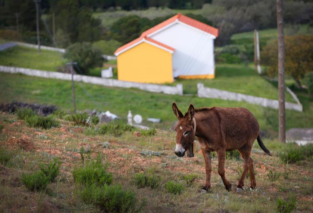 Casa Amado, Aldeia Da Pedralva Βίλα Vila do Bispo Εξωτερικό φωτογραφία