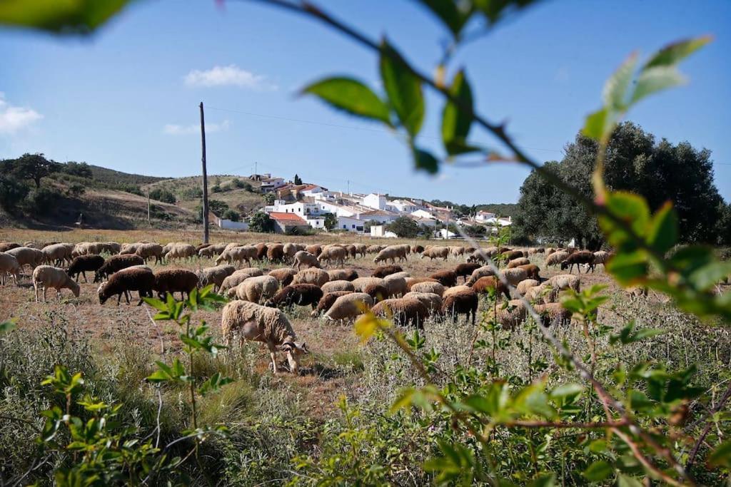 Casa Amado, Aldeia Da Pedralva Βίλα Vila do Bispo Εξωτερικό φωτογραφία