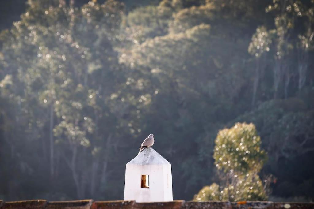 Casa Amado, Aldeia Da Pedralva Βίλα Vila do Bispo Εξωτερικό φωτογραφία