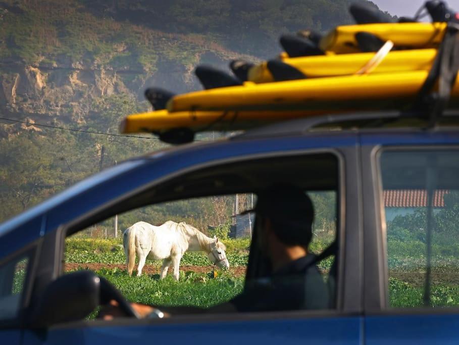Casa Amado, Aldeia Da Pedralva Βίλα Vila do Bispo Εξωτερικό φωτογραφία